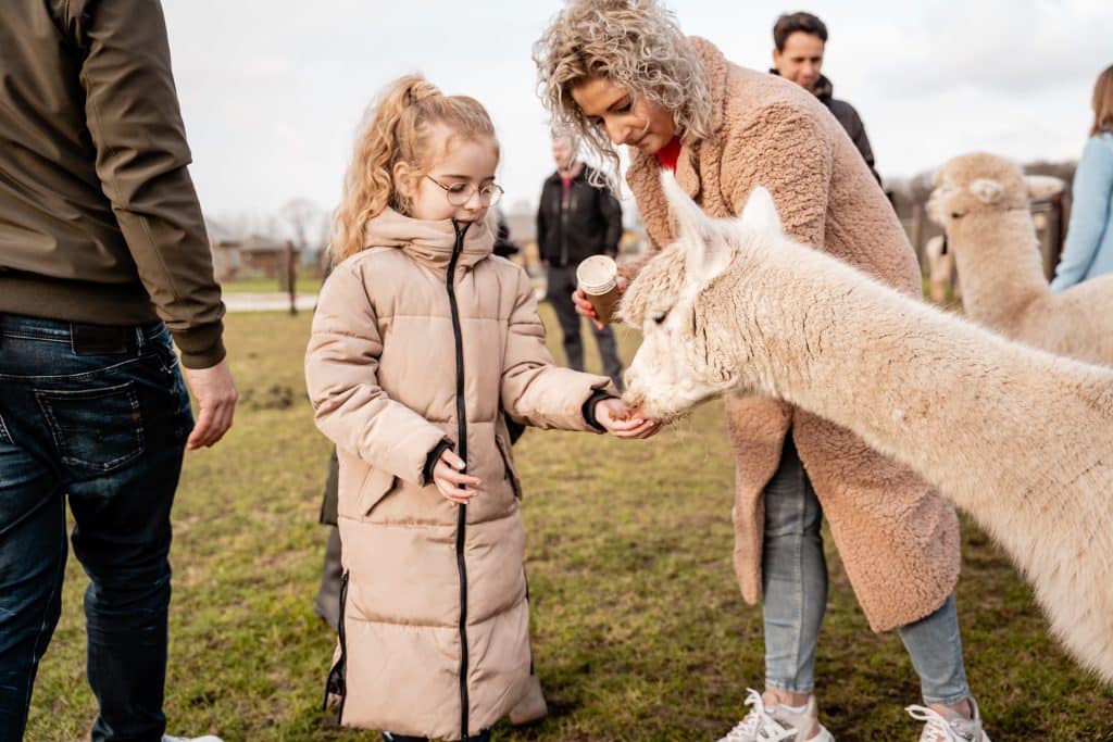 Alpacafarm Vorstenbosch Google Ads roas resultaten